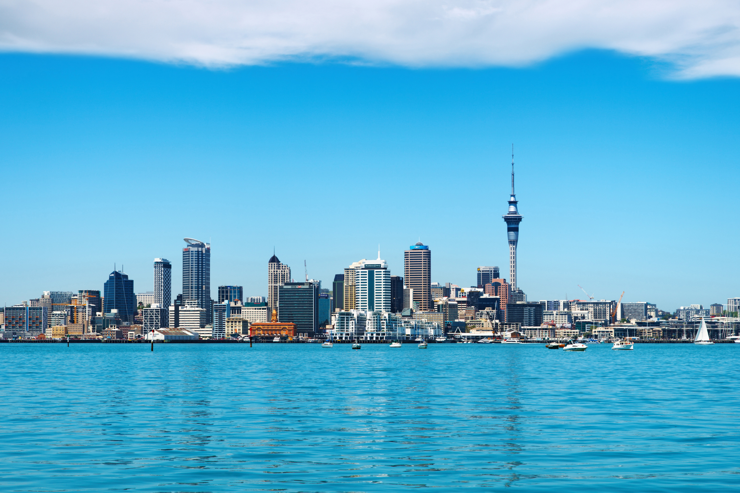 musgrave inlet, auckland islands (2).webp
